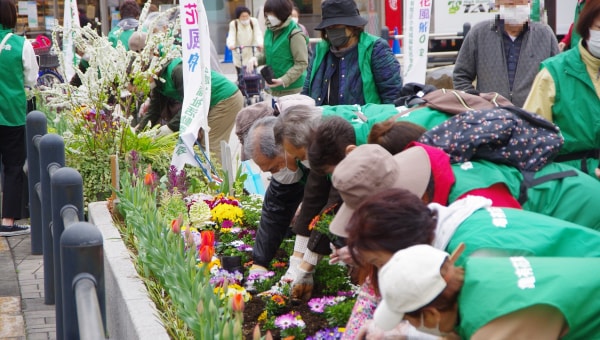 新たな緑花イベントで、葛飾にいっぱいの花を咲かせよう!