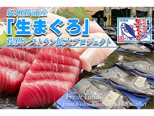 紀州勝浦産「生まぐろ」提供レストラン拡大プロジ…