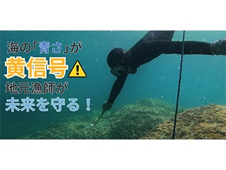 若狭の海の「青さ」を未来の子供たちに!　地元漁…