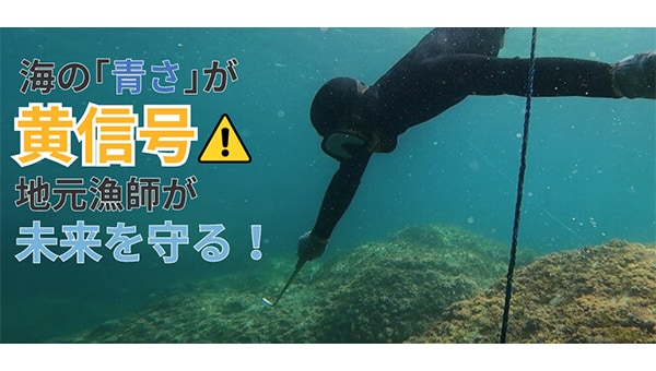 若狭の海の「青さ」を未来の子供たちに! 地元漁師と海産資源の活用と保全プロジェクト