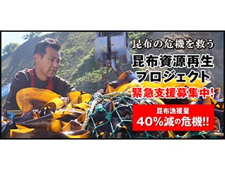 雑海藻から海を守り、日本の食文化である昆布の漁…