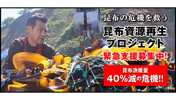 雑海藻から海を守り、日本の食文化である昆布の漁場を再生させるプロジェクト