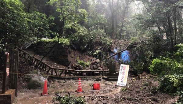 世界遺産とどんぐりの森を次の世代に!世界遺産・寺山の森再生プロジェクト