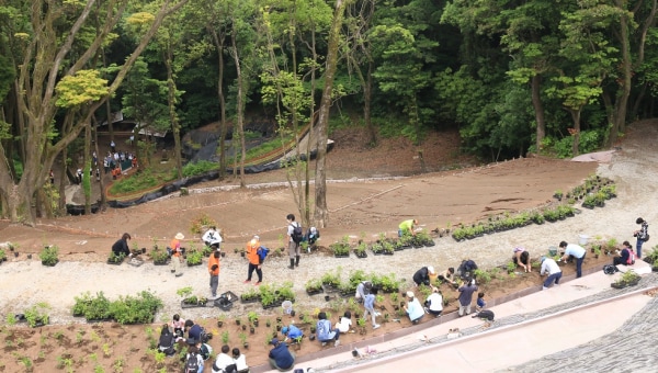 世界遺産とどんぐりの森を次の世代に!世界遺産・寺山の森再生プロジェクト