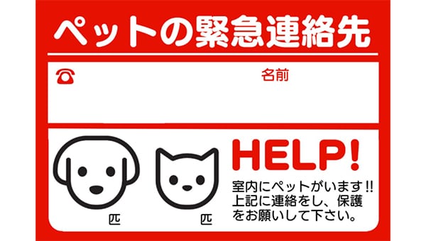 介護の現場からのSOS、残された犬猫たちを救いたい。