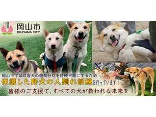 桃太郎のまち岡山の「保護した野犬の人馴れ訓練プ…