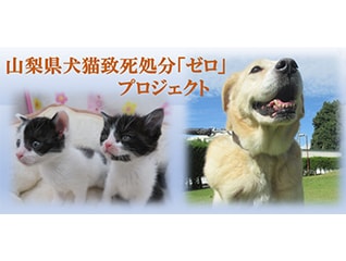 小さな命を守りたい!　山梨県犬猫致死処分「ゼロ…