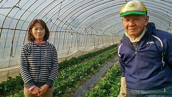 きれいな水で最高級の「キンド酵素栽培イチゴ」を育てたい!