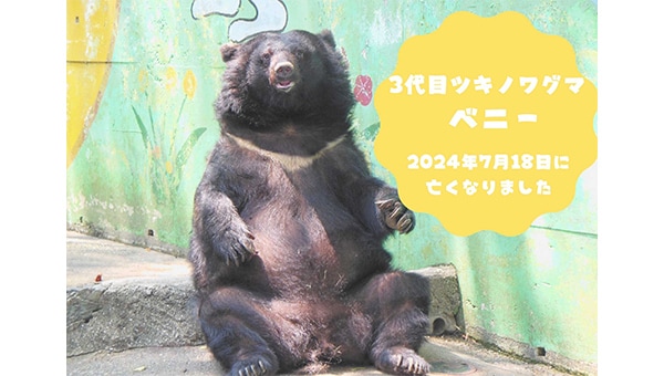 和歌山城公園動物園クマ園舎リニューアルプロジェクト
