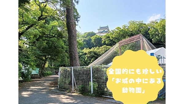 和歌山城公園動物園クマ園舎リニューアルプロジェクト