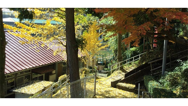 里山から、つながりを紡ぐ「船坂アートイベント」