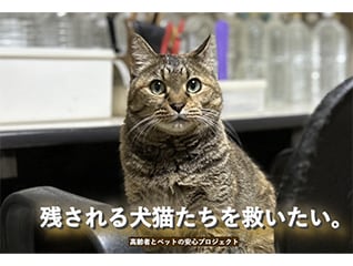 残される犬猫たちを救いたい!『高齢者とペットの…