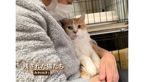 残される犬猫たちを救いたい!『高齢者とペットの安心プロジェクト』