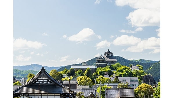 【本能寺の変お知らせハガキ】の次なる展開!急募!明智光秀×福知山サポーター!