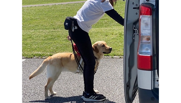 未来の盲導犬と視覚障がい者の笑顔を守るため、車両入替にご協力をお願いします!