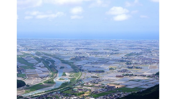 学校給食に特別栽培米を!環境保全型農業をおいしく学ぼう