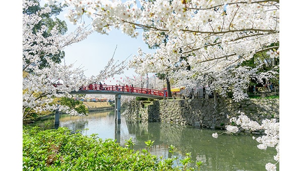 桜花咲(おかざき)プロジェクト〜さくらのある景色を、未来へ〜