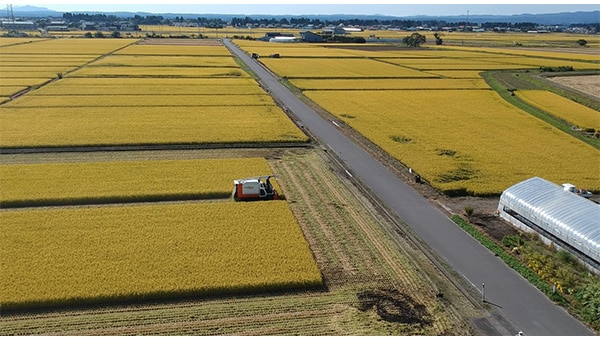十和田市特産品を未来へ届ける!スマート農業で支える地域と食の未来