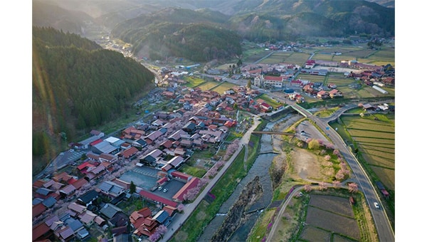 『桜とプロレスで、未来につなげ』日本で最も美しい村・新庄村 がいせん桜プロレス