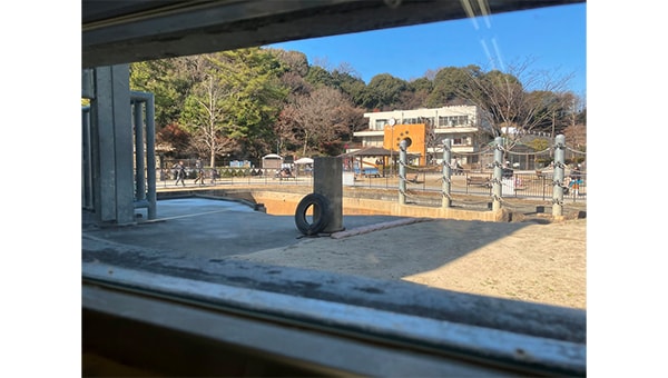 岡崎市東公園動物園のふじ子を未来の子どもたちにつなぎたい!