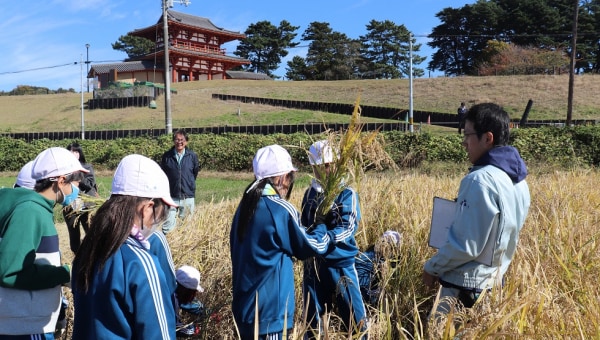 古代米を通じた子どもと地元の未来応援プロジェクト