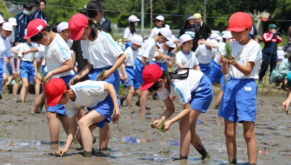 古代米を通じた子どもと地元の未来応援プロジェクト