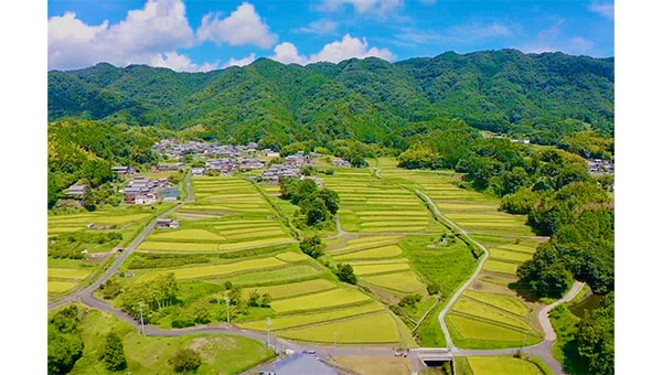 【みえの棚田】消失危機の絶景棚田を米で次世代へつなぐ!