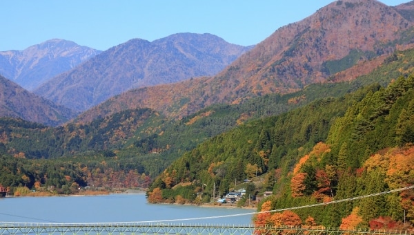 南アルプスの麓「井川」を支援しよう! 焼畑などの民俗文化の継承・桜の参道づくり