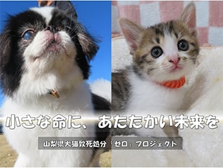 小さな命に、あたたかい未来を　山梨県犬猫致死処…