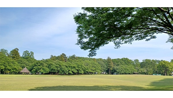 県産木材を使用した埼玉県農林公園テーブル付きベンチ再生プロジェクト