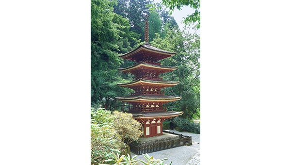 【室生寺】千二百年の祈りを次世代へ。国宝・重文の室生寺金堂ほか建造物保存修理