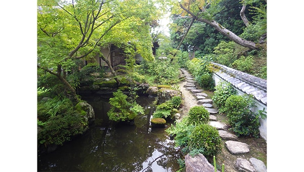 【當麻寺中之坊】大和三名園の美を未来へ。き損が進む當麻寺中之坊庭園の保存活用へ