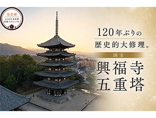 120年ぶりの歴史的大修理!国宝・興福寺五重塔を次世代へ継承したい
