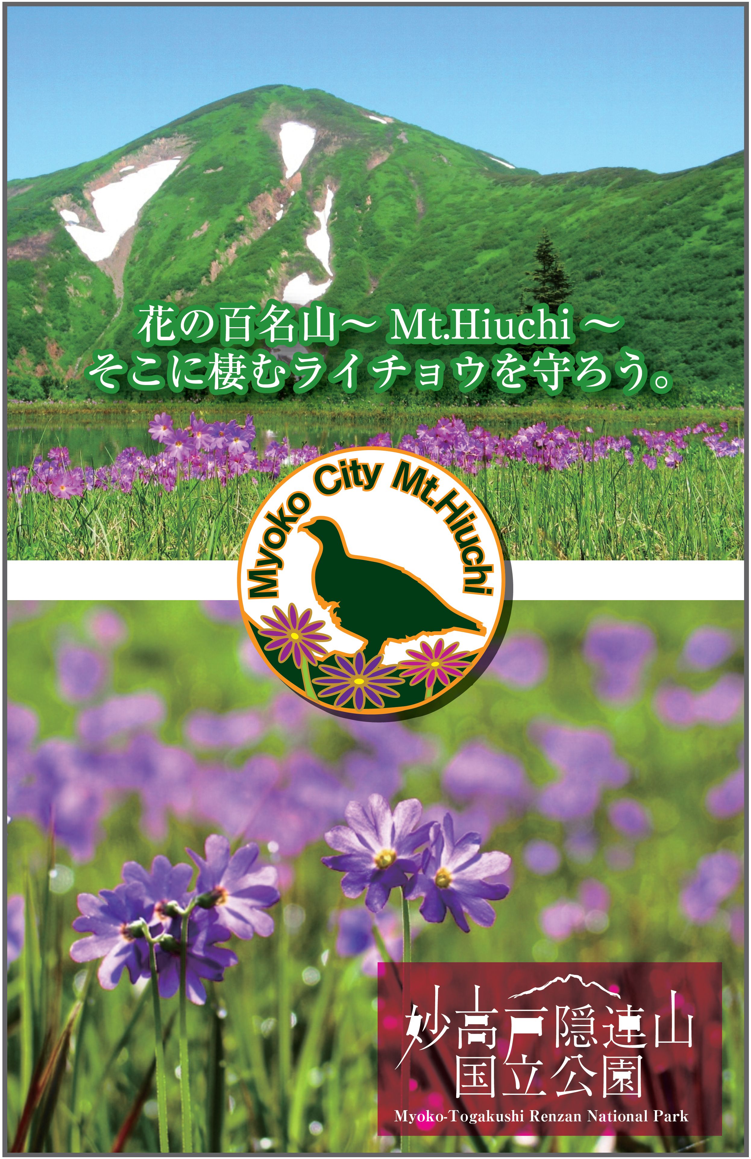 日本最北限 最小の個体群 火打山のライチョウ を救いたい ふるさと納税サイト さとふる