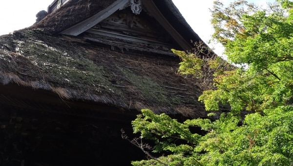 源頼朝創建・徳川光圀再興の古刹「長勝寺」茅葺屋根等修繕プロジェクト