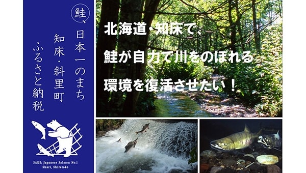 北海道・知床で、鮭が自力で川をのぼれる環境を復活させたい!