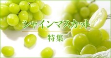 シャインマスカット特集