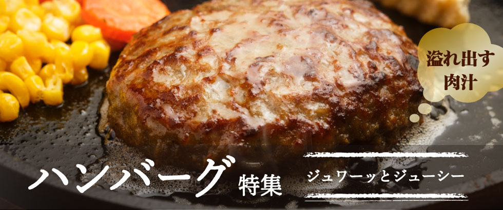 ハンバーグ特集 ふるさと納税サイト さとふる