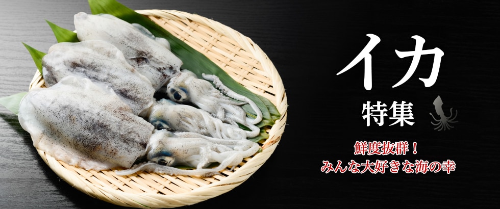 イカ特集 | ふるさと納税サイト「さとふる」