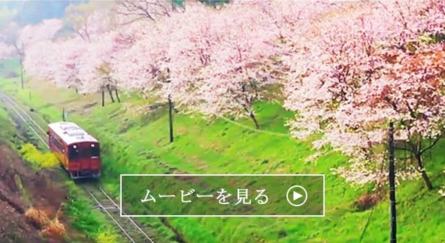 福岡県赤村の地域 お礼品情報 ふるさと納税サイト さとふる 福岡県赤村の地域 お礼品情報 ふるさと納税サイト さとふる