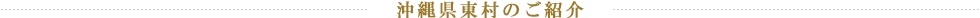 沖縄県東村のご紹介