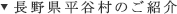 長野県平谷村のご紹介