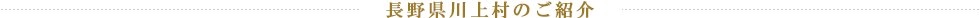 長野県川上村のご紹介