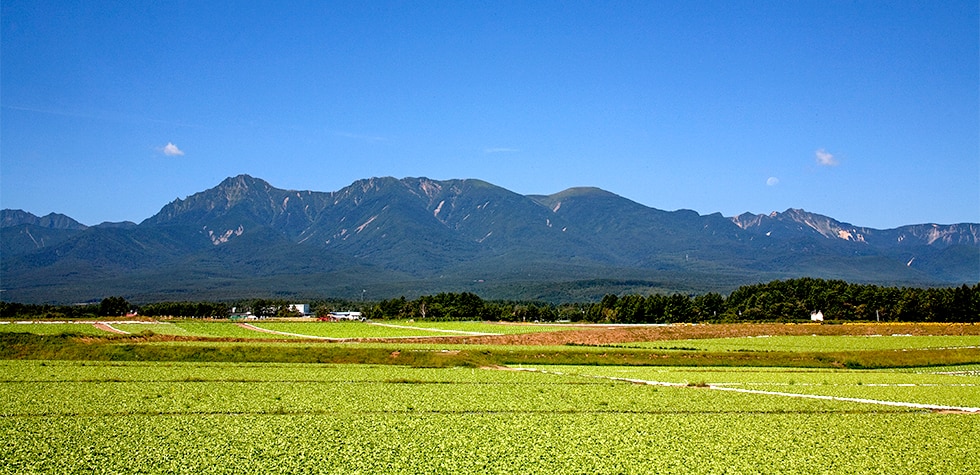 長野県川上村の地域・お礼品情報 | ふるさと納税サイト【さとふる】