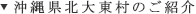 沖縄県北大東村のご紹介