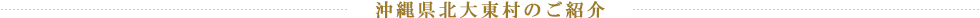 沖縄県北大東村のご紹介