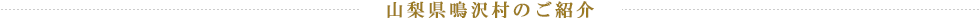 山梨県鳴沢村のご紹介