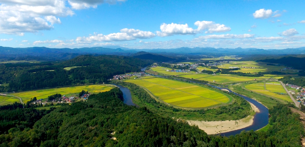 ふるさと納税 鮭川村 鮭川村産 「やまがた最上どり」テール串