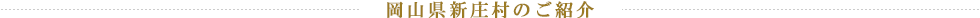 岡山県新庄村のご紹介