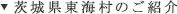茨城県東海村のご紹介